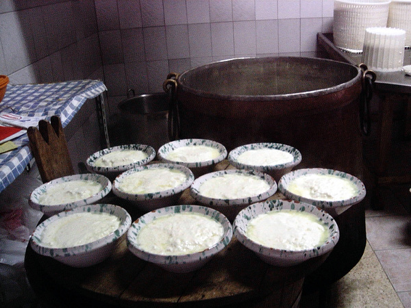 Ricotta