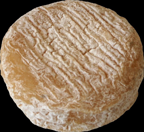 Picodon