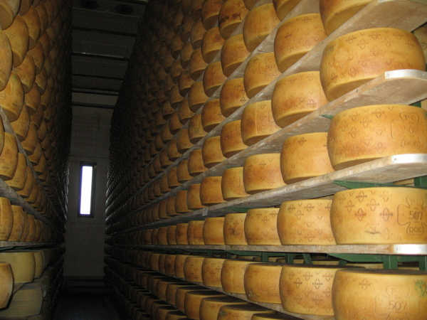 Grana Padano DOP