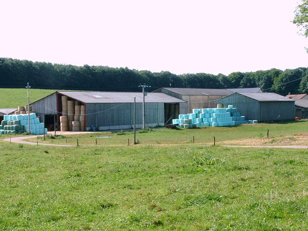 Boule des moines
