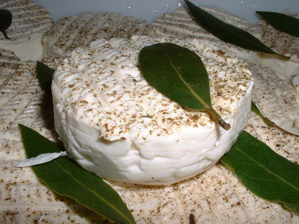 Tomme dArles