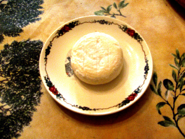 Cabcou du Fel