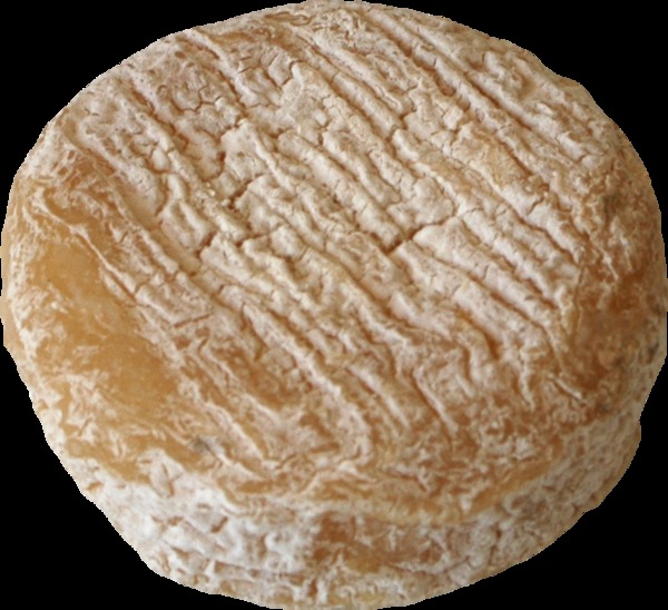 Picodon
