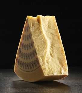 Saloio