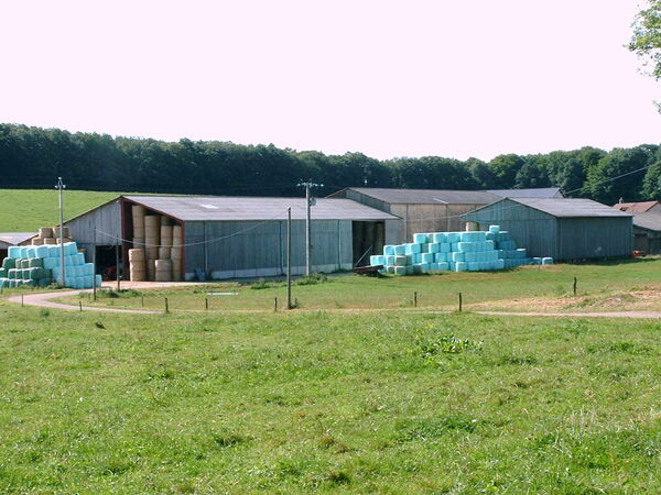Boule des moines