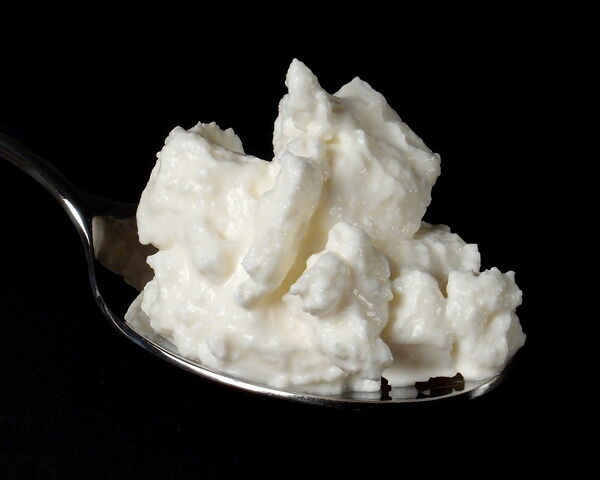 Provolone piquant