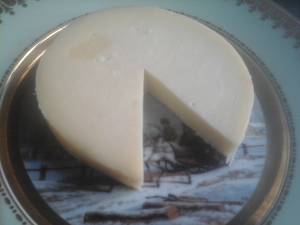Provolone piquant