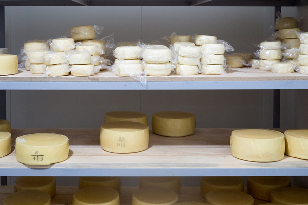 Fromage thermiotique