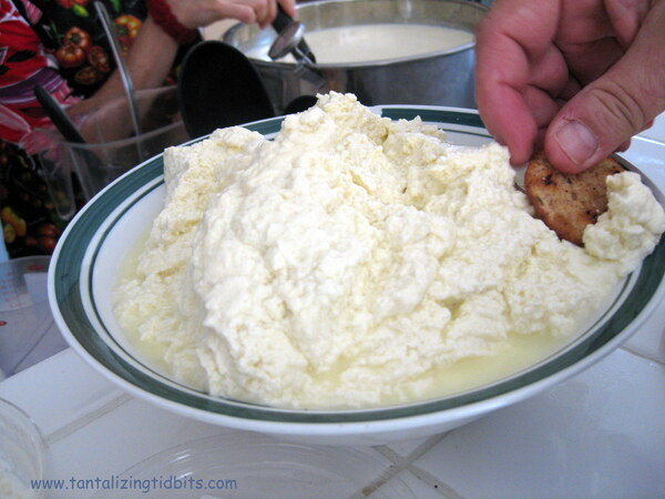 Ricotta