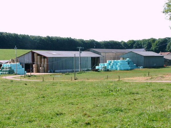 Boule des moines