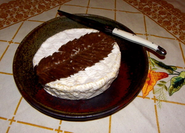 Feuille de Dreux