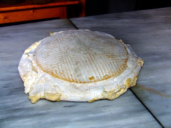 Queso de flor de Guía