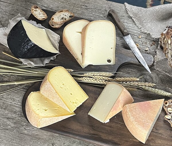 Tomme des Pyrénées