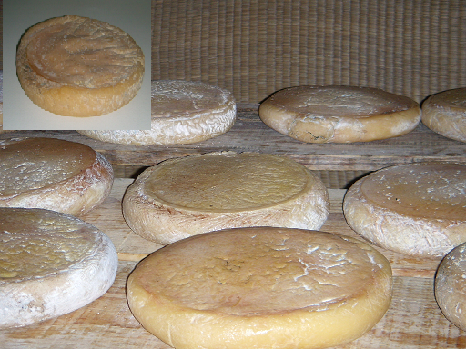 fromage de la Serena